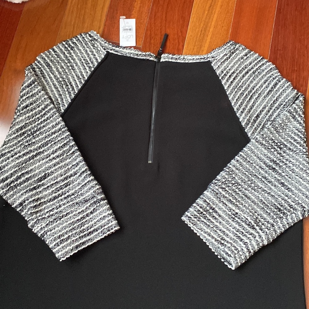 Ann Taylor loft fall dress size 12 - NWT - Picture 3 of 4